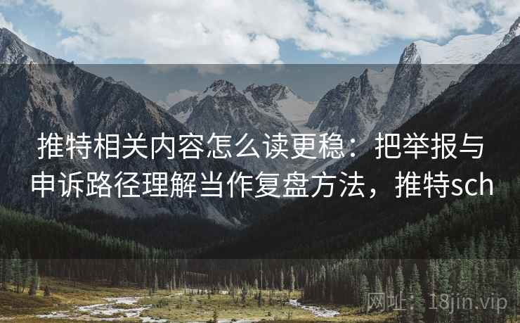 推特相关内容怎么读更稳：把举报与申诉路径理解当作复盘方法，推特sch